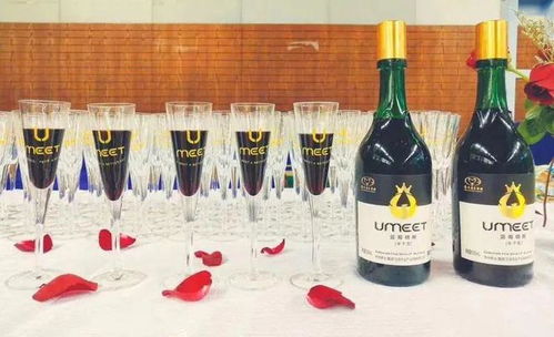 年度酒訊⑤丨2022年微醺實(shí)錄 低度酒扎堆 同質(zhì)化中突圍