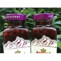 1255藍(lán)莓果汁廠家 1255藍(lán)莓果汁 德飲德國啤酒