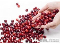 青島進口干果清關代理公司 青島進口紅酒代理清關公司